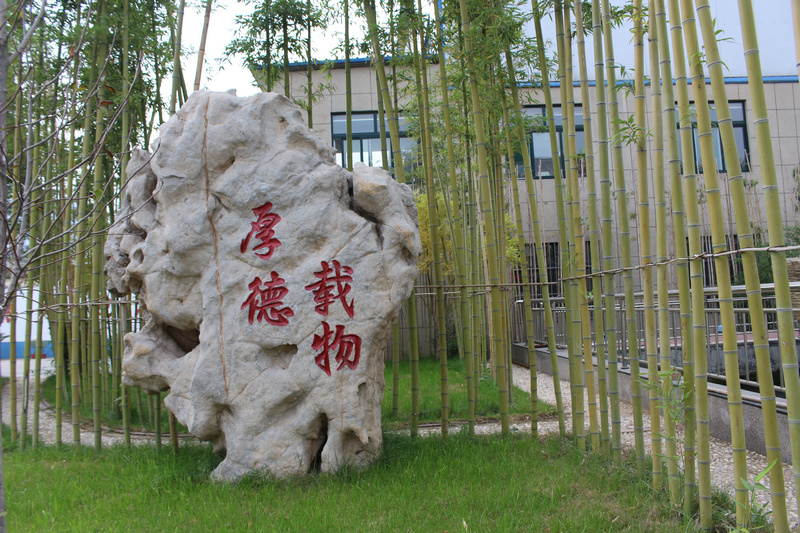 公司景区